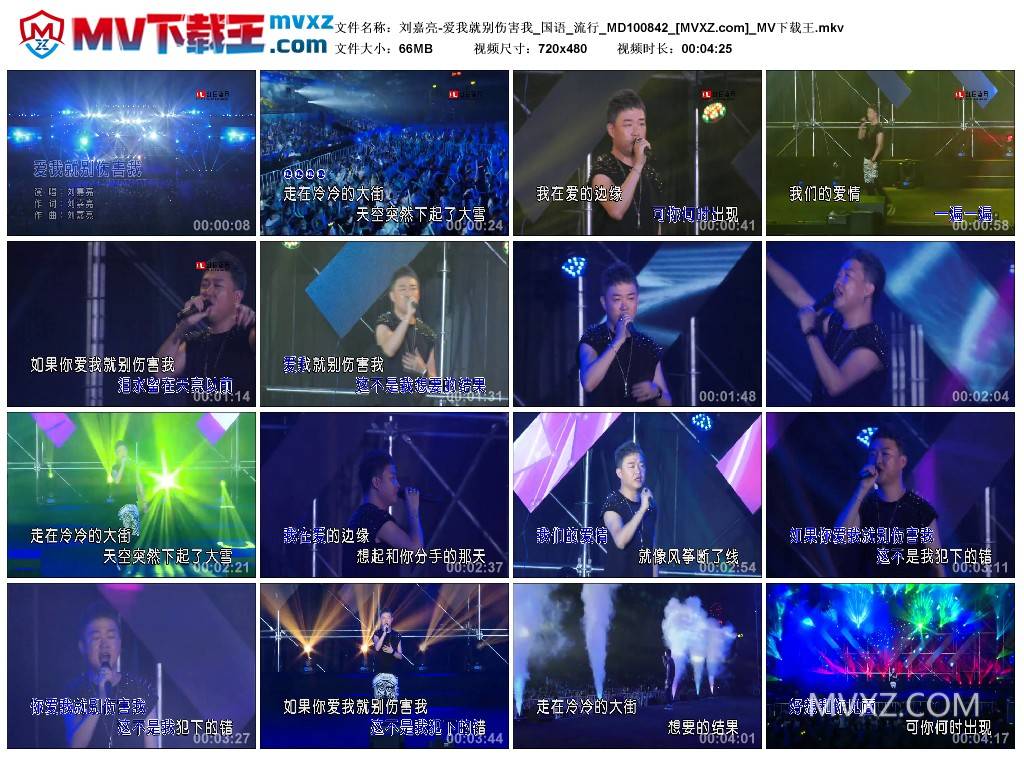 刘嘉亮-爱我就别伤害我_国语_流行_MD100842